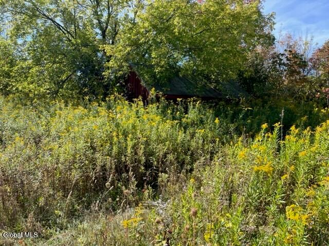 L16.4 Duanesberg Road, Duanesburg, NY 12056