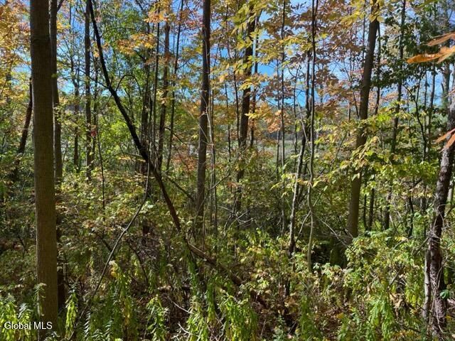 L16.4 Duanesberg Road, Duanesburg, NY 12056