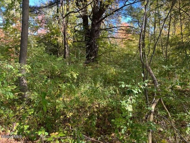 L16.4 Duanesberg Road, Duanesburg, NY 12056