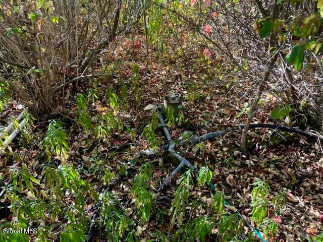 L16.4 Duanesberg Road, Duanesburg, NY 12056