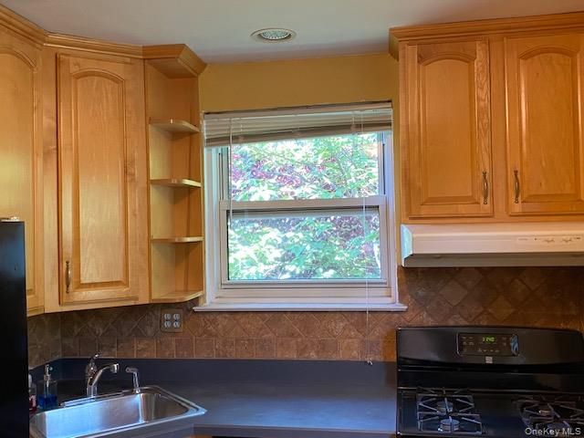 264-17 73rd. Avenue E-2, Glen Oaks, NY 11004