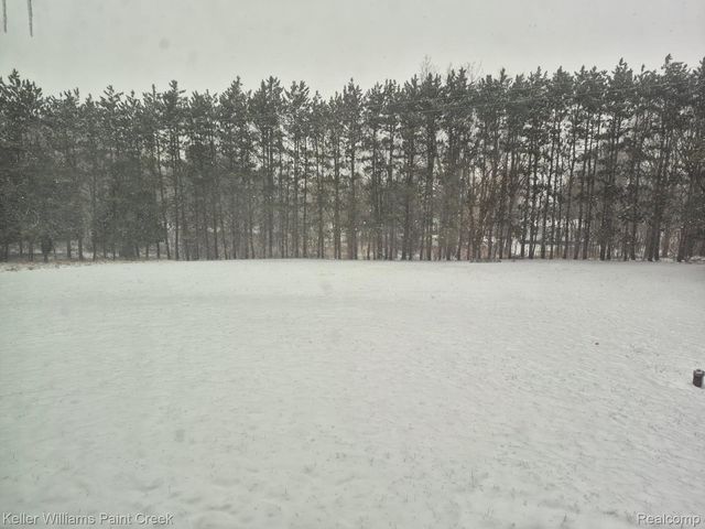 6373 Hall Road, Almont Township, MI 48428