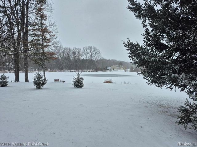 6373 Hall Road, Almont Township, MI 48428