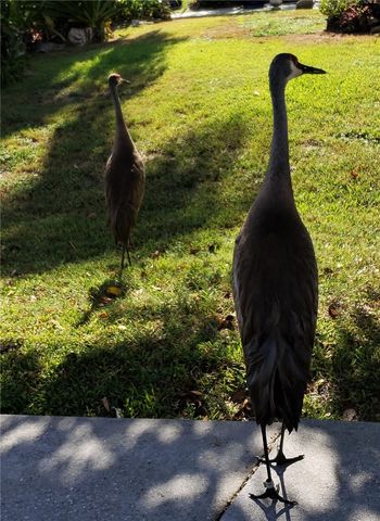 334 15th Street SW, Vero Beach, FL 32962