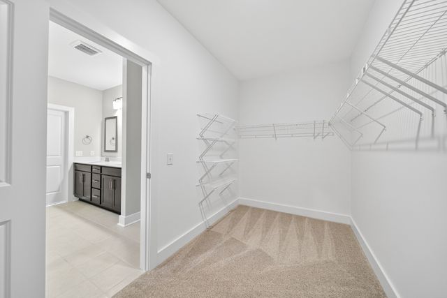 3920 Trinity Woods Rd, Columbia, TN 38401