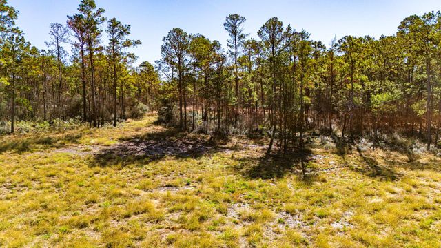 018 Magnolia Ranch Road, Onalaska, TX 77360