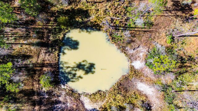 018 Magnolia Ranch Road, Onalaska, TX 77360