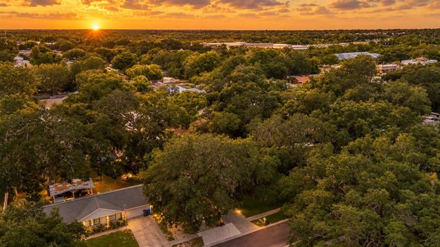 3412 LITTLE OAK STREET, Valrico, FL 33596