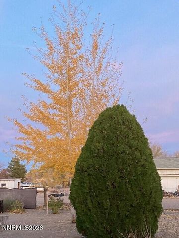 1500 W Spruce Avenue 1500, Silver Springs, NV 89429