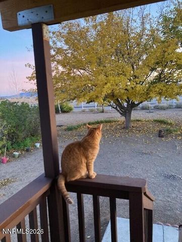 1500 W Spruce Avenue 1500, Silver Springs, NV 89429