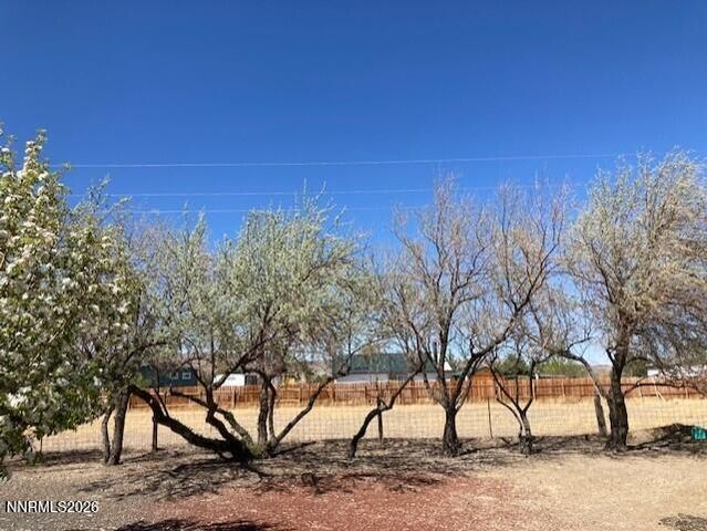 1500 W Spruce Avenue 1500, Silver Springs, NV 89429