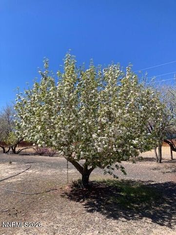 1500 W Spruce Avenue 1500, Silver Springs, NV 89429