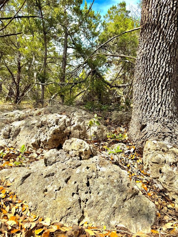 2519 George PASS, Canyon Lake, TX 78133