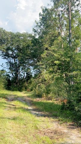 363 Acres FL-85, Laurel Hill, FL 32567