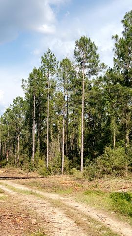 363 Acres FL-85, Laurel Hill, FL 32567