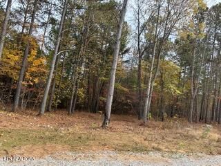 440 Cody Lane, Madisonville, TN 37354