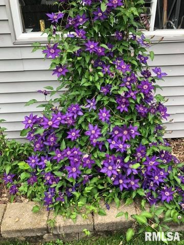 2229 W CALLENDER Avenue, West Peoria, IL 61604