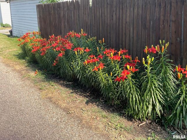 2229 W CALLENDER Avenue, West Peoria, IL 61604