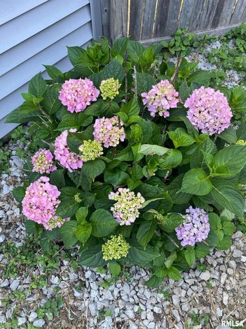 2229 W CALLENDER Avenue, West Peoria, IL 61604