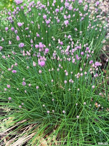 2229 W CALLENDER Avenue, West Peoria, IL 61604