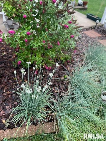 2229 W CALLENDER Avenue, West Peoria, IL 61604