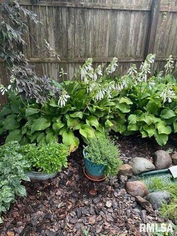 2229 W CALLENDER Avenue, West Peoria, IL 61604