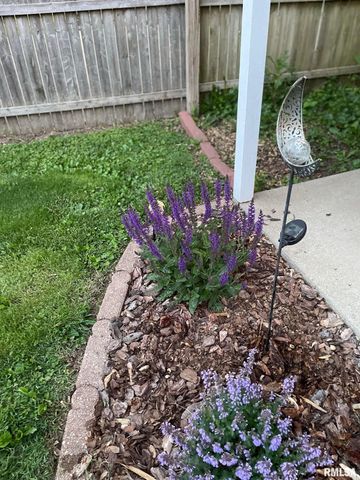 2229 W CALLENDER Avenue, West Peoria, IL 61604