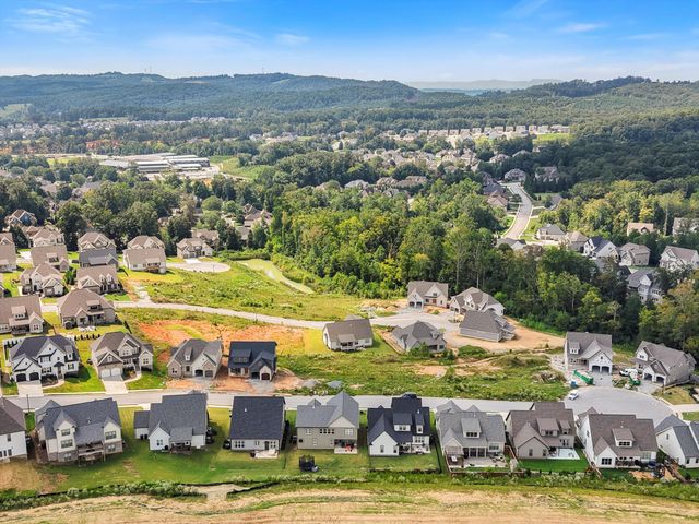 10623 Flicker Way, Apison, TN 37302