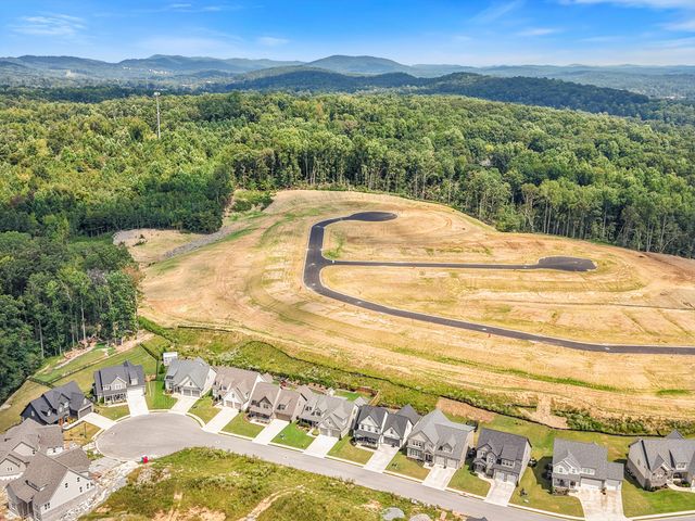 10623 Flicker Way, Apison, TN 37302