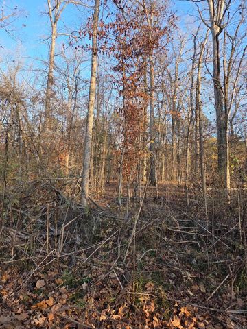 2764 Lost Lake, Hot Springs, AR 71913