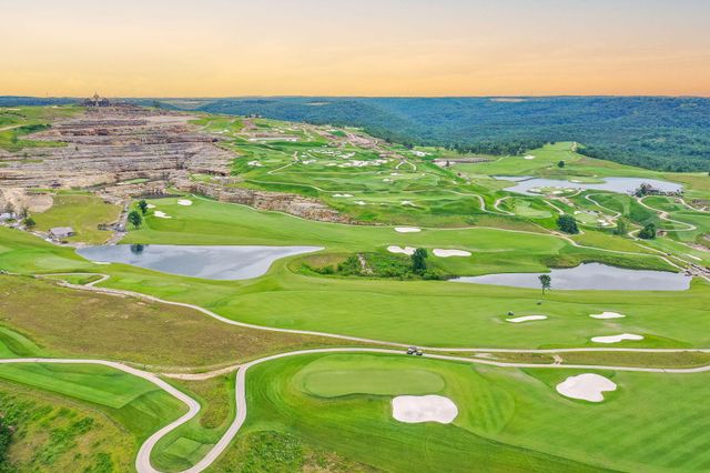 185 Stoney Pointe Drive, Hollister, MO 65672