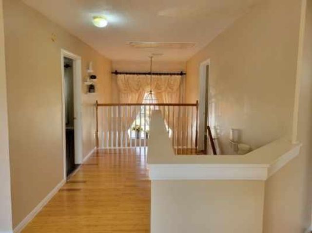 13523 Verbena Lane, Houston, TX 77083