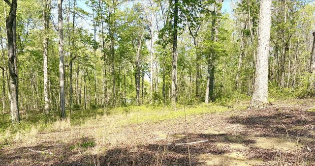 631 Shahan Lane, Birchwood, TN 37308