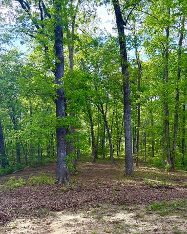 631 Shahan Lane, Birchwood, TN 37308