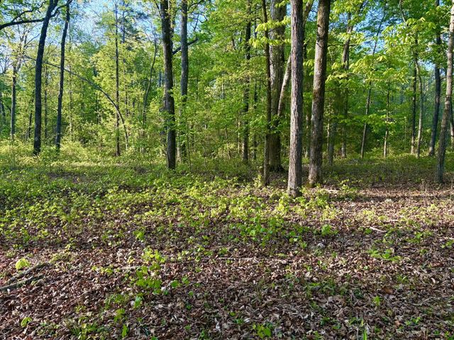 631 Shahan Lane, Birchwood, TN 37308