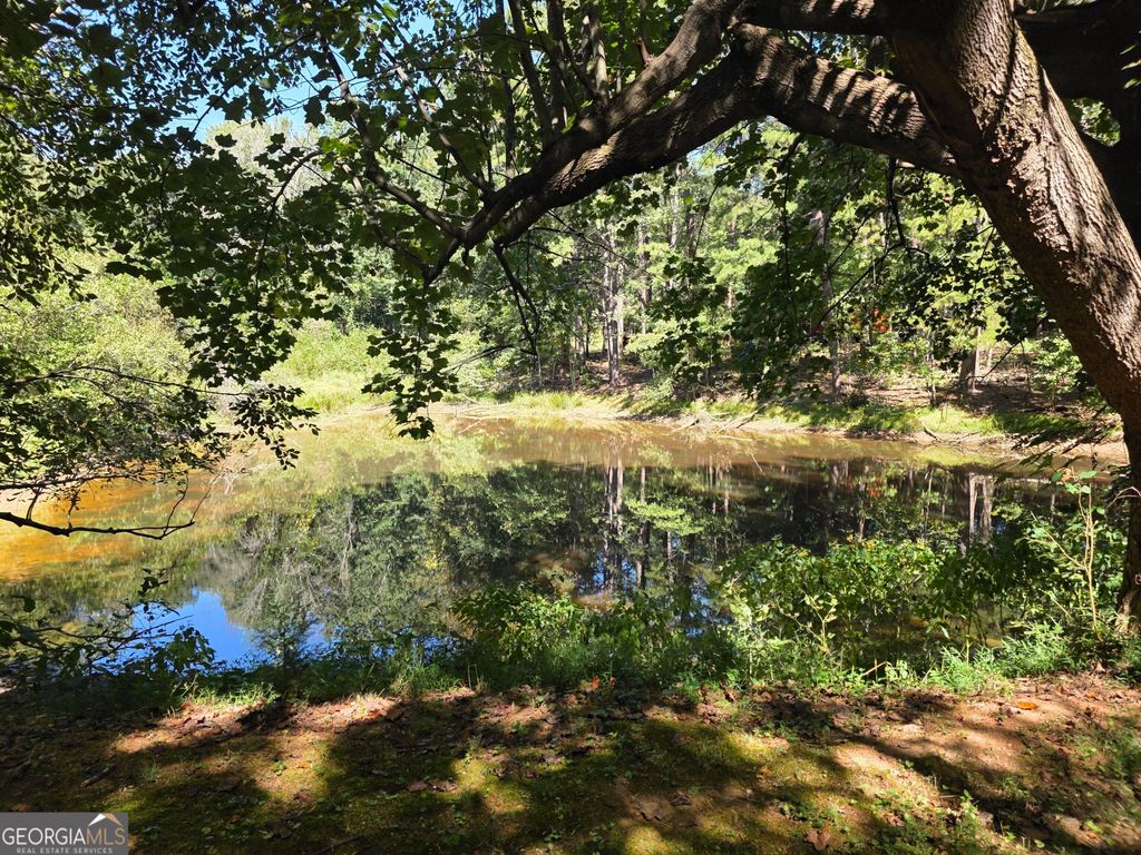 223 Lakeview Drive, Cornelia, GA 30531 — photo 4