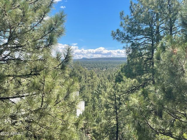 861 E Pine Oaks Drive, Show Low, AZ 85901