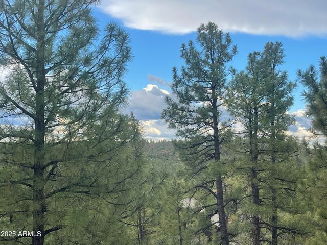 861 E Pine Oaks Drive, Show Low, AZ 85901