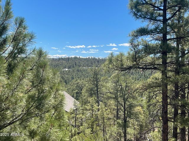 861 E Pine Oaks Drive, Show Low, AZ 85901