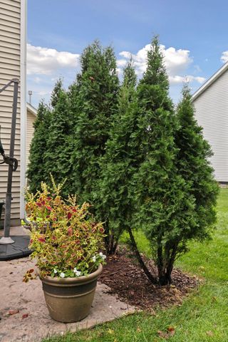 5484 Snell Court SE, Prior Lake, MN 55372