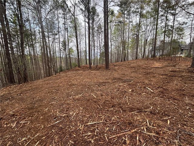 323 Long Cove Trail, Salem, SC 29676