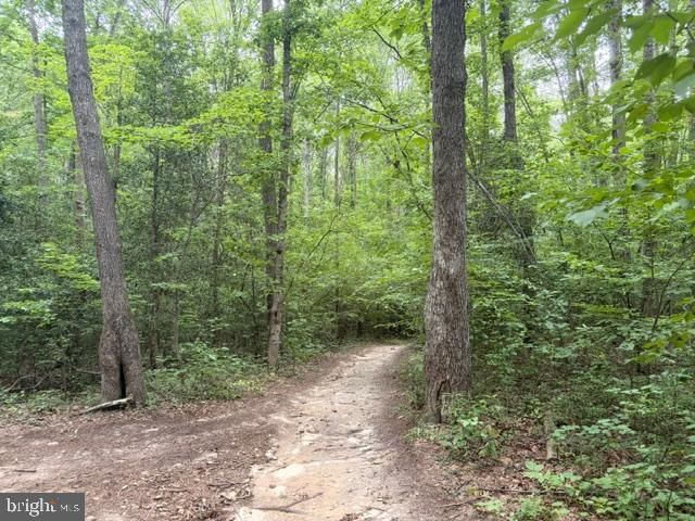 10910 ASTARITA AVE, Partlow, VA 22534