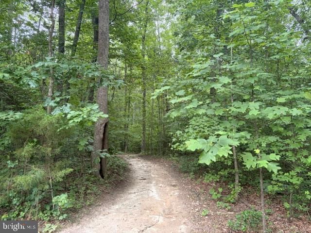 10910 ASTARITA AVE, Partlow, VA 22534