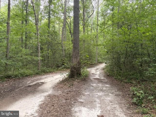 10910 ASTARITA AVE, Partlow, VA 22534