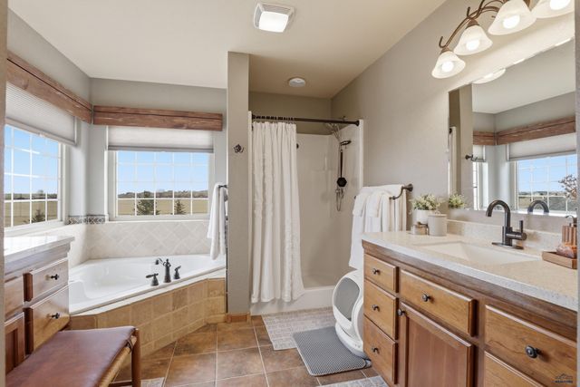 15742 GOLDEN VALLEY DR, Piedmont, SD 57769