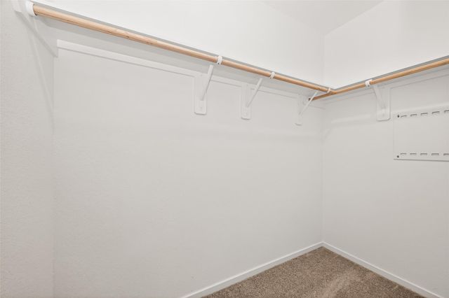 16846 Spotted Oak Drive, Hockley, TX 77447