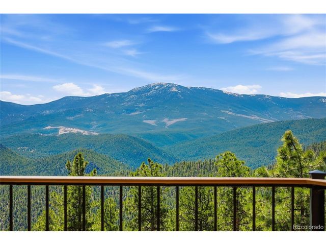 16 Auk Ln, Bailey, CO 80421