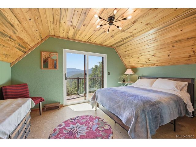 16 Auk Ln, Bailey, CO 80421