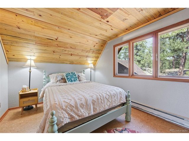 16 Auk Ln, Bailey, CO 80421