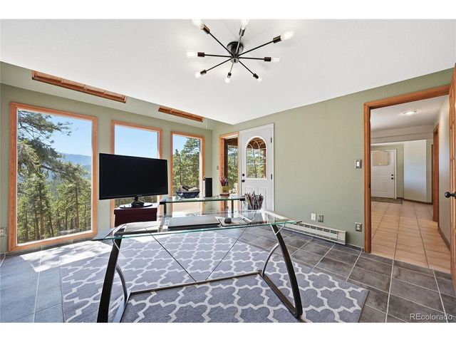 16 Auk Ln, Bailey, CO 80421